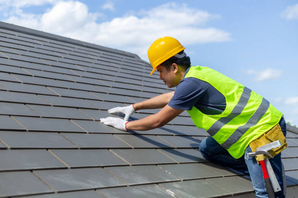 Best Roof Moss and Algae Removal  in Mclean, TX